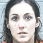 Kristin Farr, 26, Burglary, entering auto with intent to commit crime x2