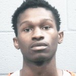 Terrance Holley, 20, Credit card theft, failure to dim headlights